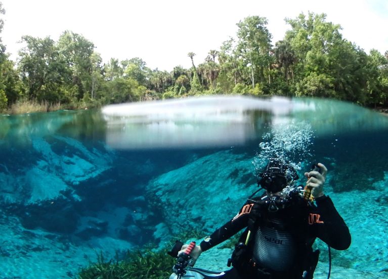 9 Best Spots for Snorkeling in Orlando You Can't Miss!